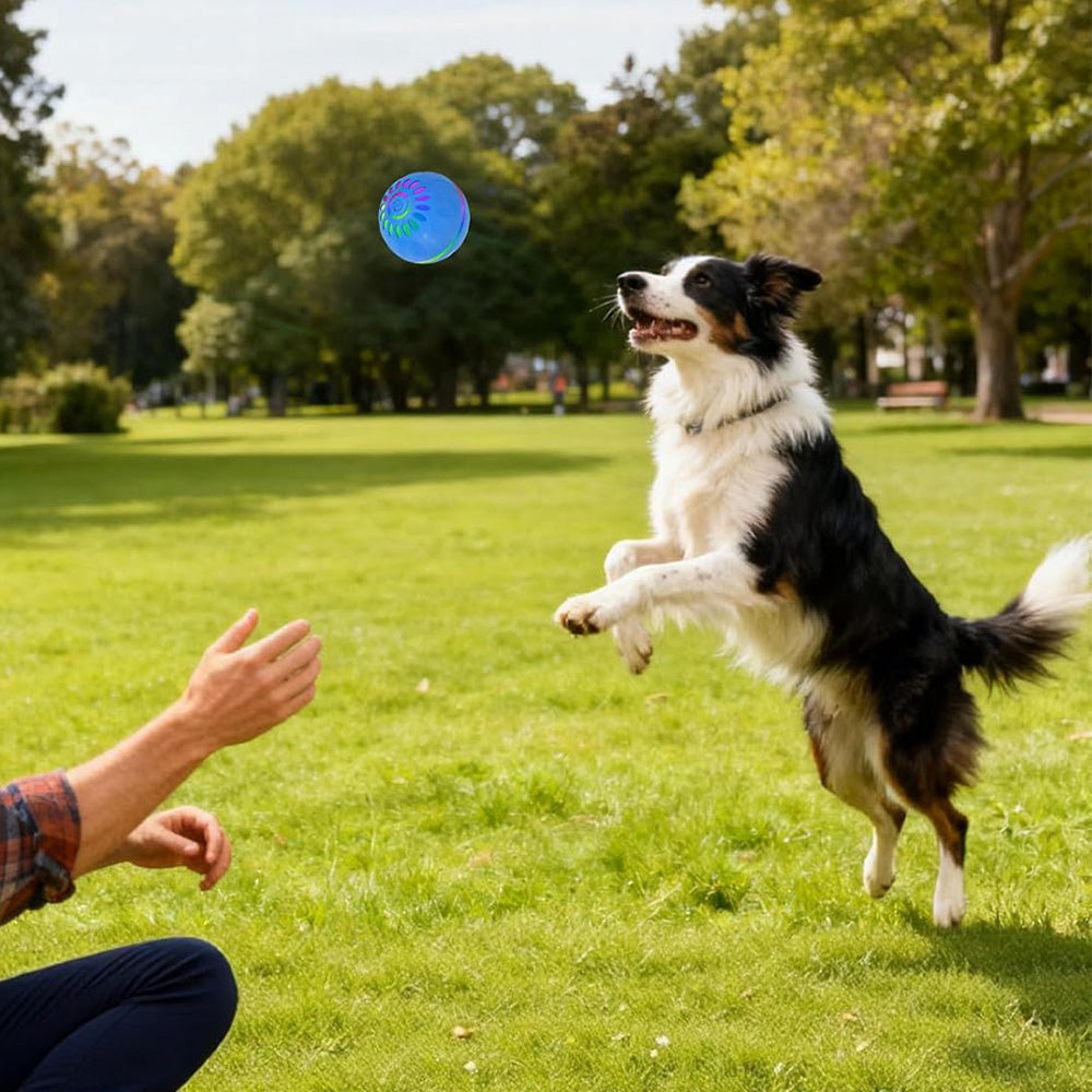 Interactive Dog Ball Toy Smart Moving Bouncing Dog Ball with LED Lights for Dogs Puppies