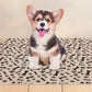 Washable Waterproof Reusable Dog Pee Pads Quick Absorbent Puppy Training Mat-Brown