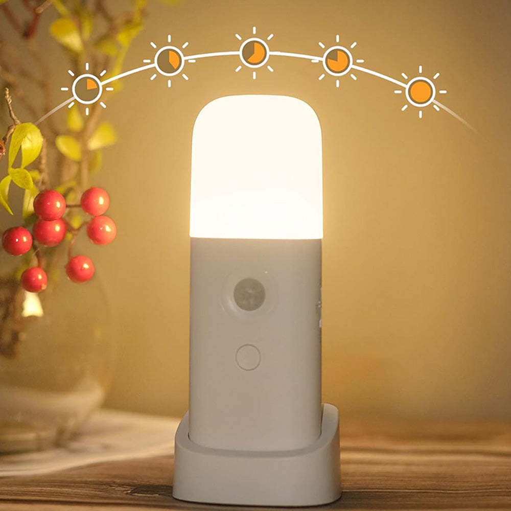 Smart Motion Sensor Night Light 5m Detection Wireless LED Lamp