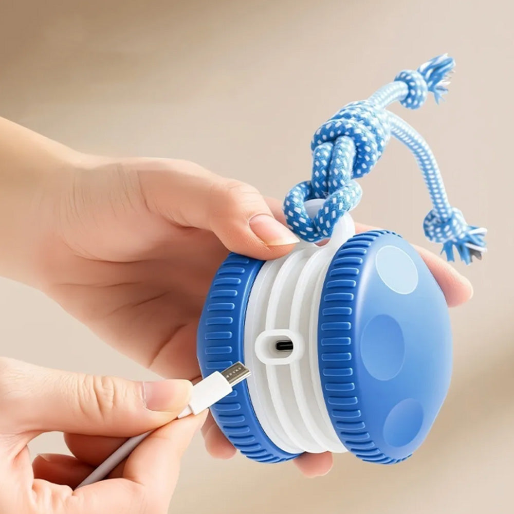 Interactive Pet Rolling Ball Toy Rechargeable Automatic Play Ball for Cats and Dogs