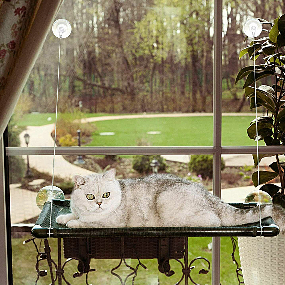 Cat Window Mounted Perch Hammock for Indoor Cats Resting