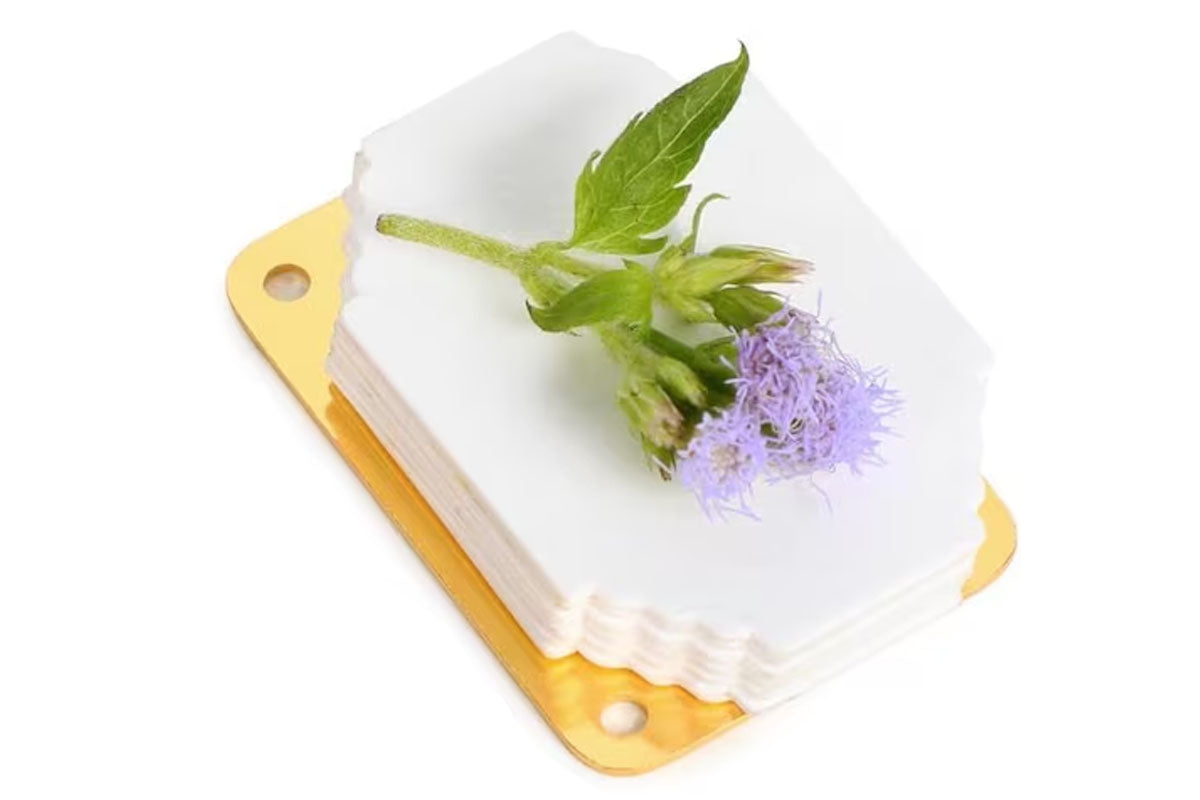2Pcs Mini Flower Press Portable DIY Plant Dry Flower Pressing Machine with 20 Paper Sheets