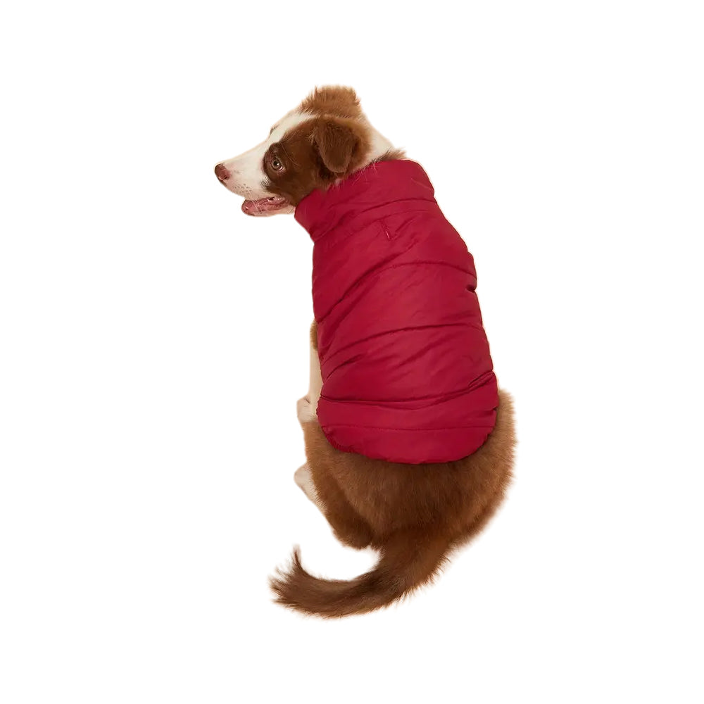 Dog Warm Coat Thickened Padded Winter Vest Jacket XL