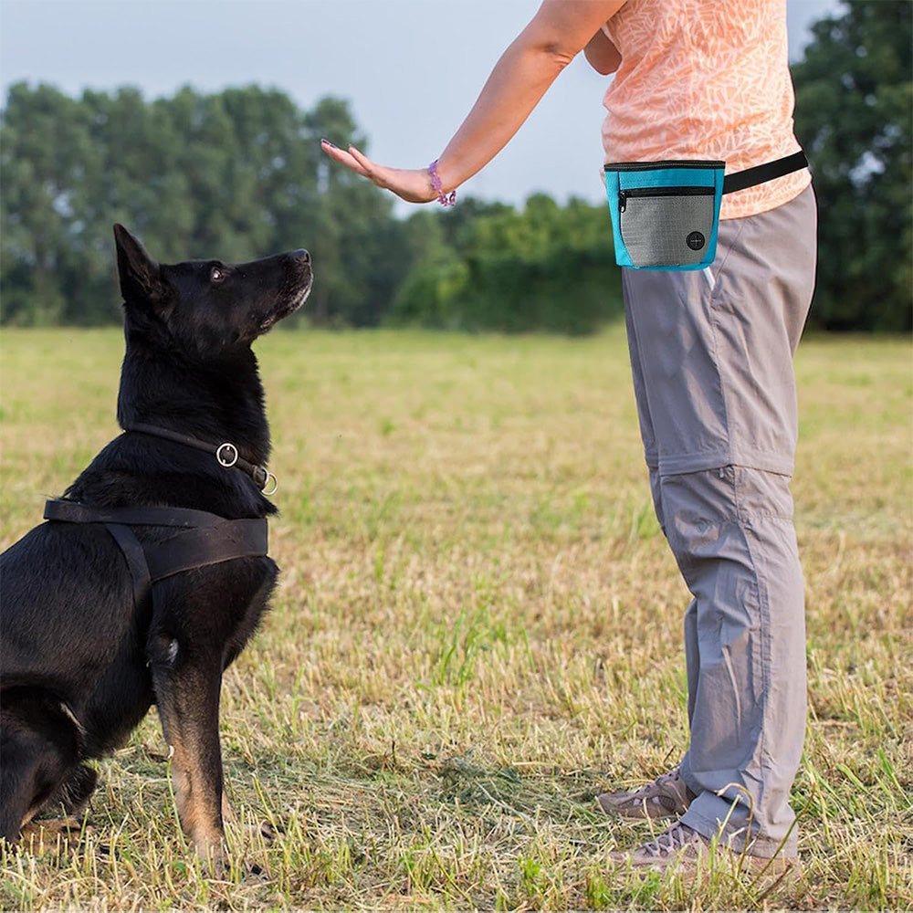 Hands-Free Dog Treat Pouch with Adjustable Belt and Quick Access Waste Bag Dispenser