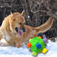 Dog Snuffle Ball Slow Feeder Puzzle Toy for Treats