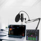 Recording Condenser Microphone Kit with Sound Card for Streaming YouTube TikTok