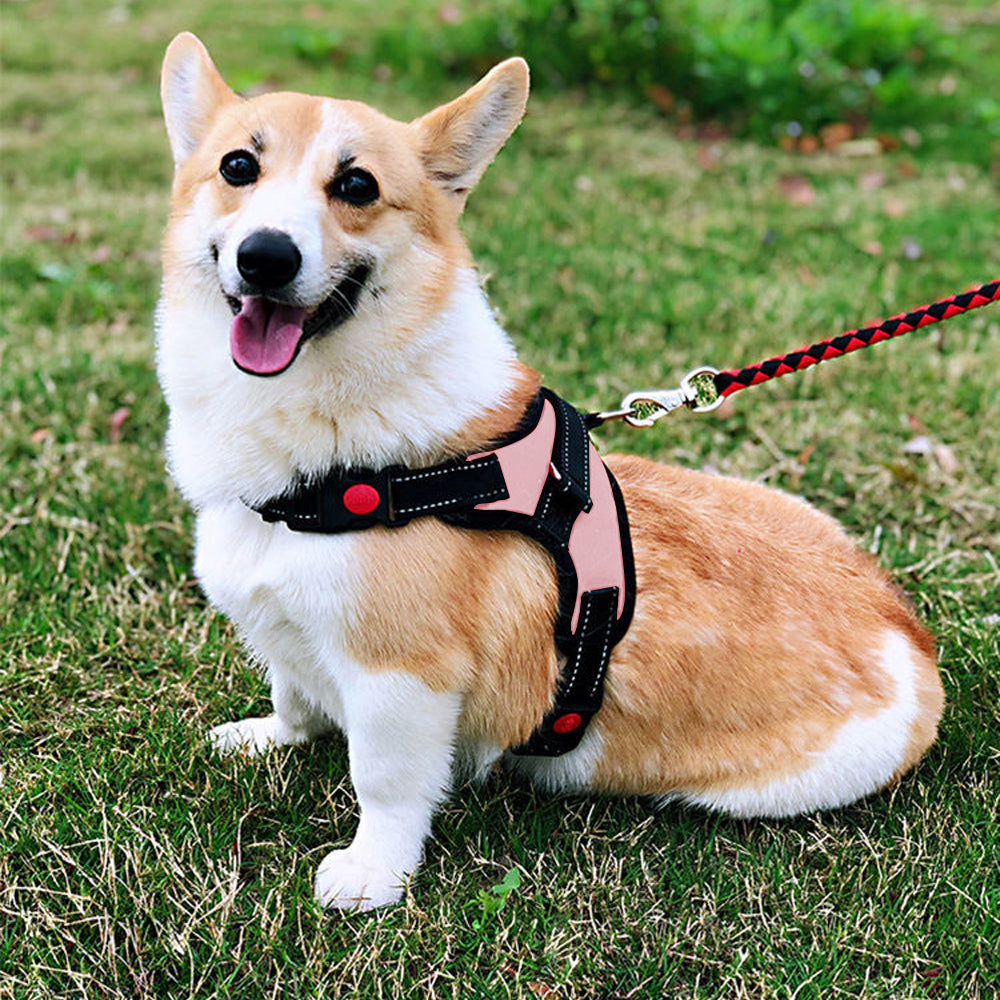 No-Pull Pet Dog Harness with Handle Adjustable Padded Vest