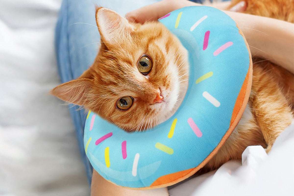 Cat Cone Soft Collar Adjustable Kitten Recovery Cones Cat Donut Collar-Blue