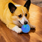 Interactive Dog Ball Toy Smart Moving Bouncing Dog Ball with LED Lights for Dogs Puppies