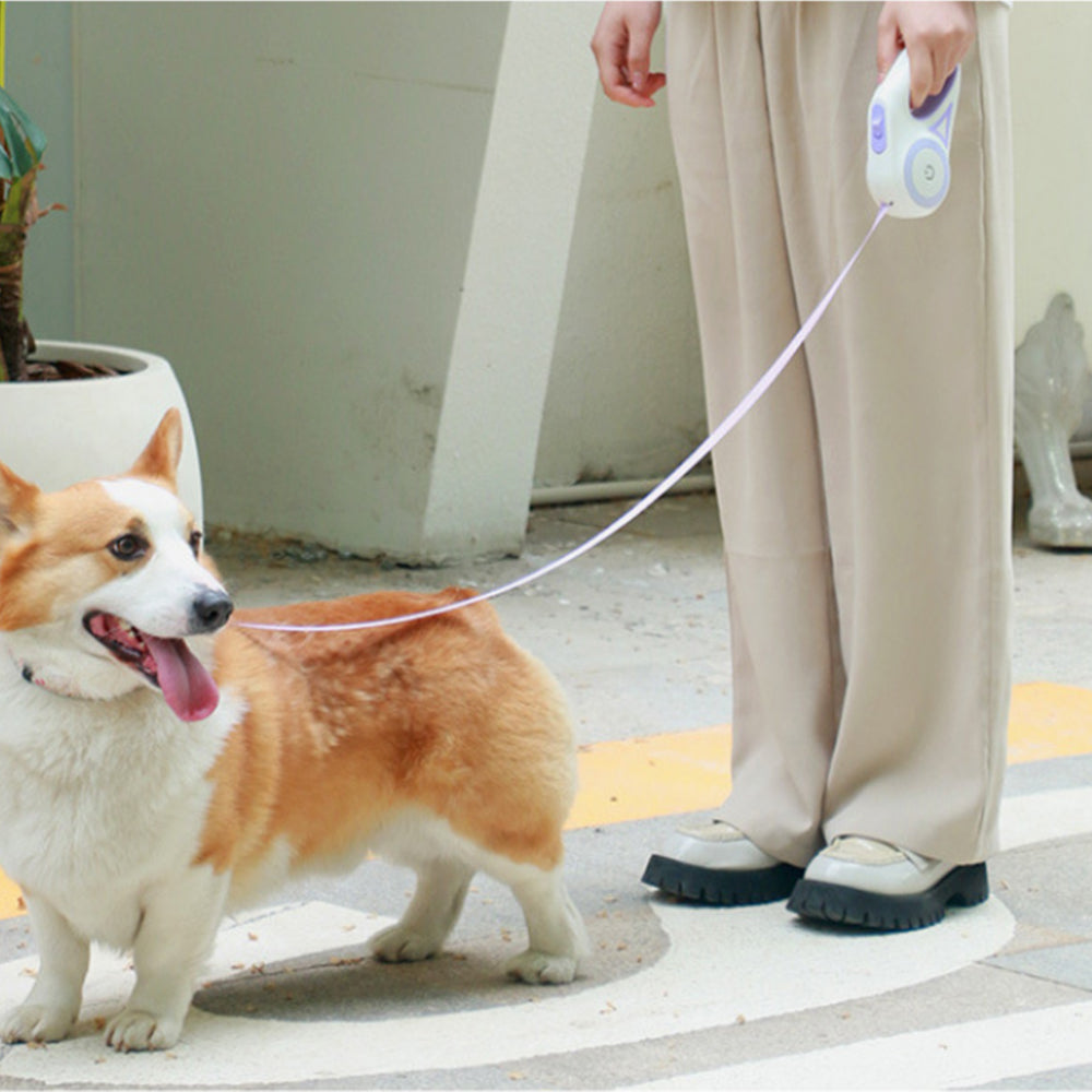 2Pcs RGB 5M Extendable Retractable LED Training Lead Rope Pet Leash