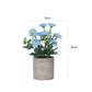 3Pcs Mini Potted Artificial Plastic Green Plants