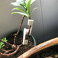 20Pcs Plant Clips for Low Stress Training 360 Degree Adjustable Plant Stem Branches