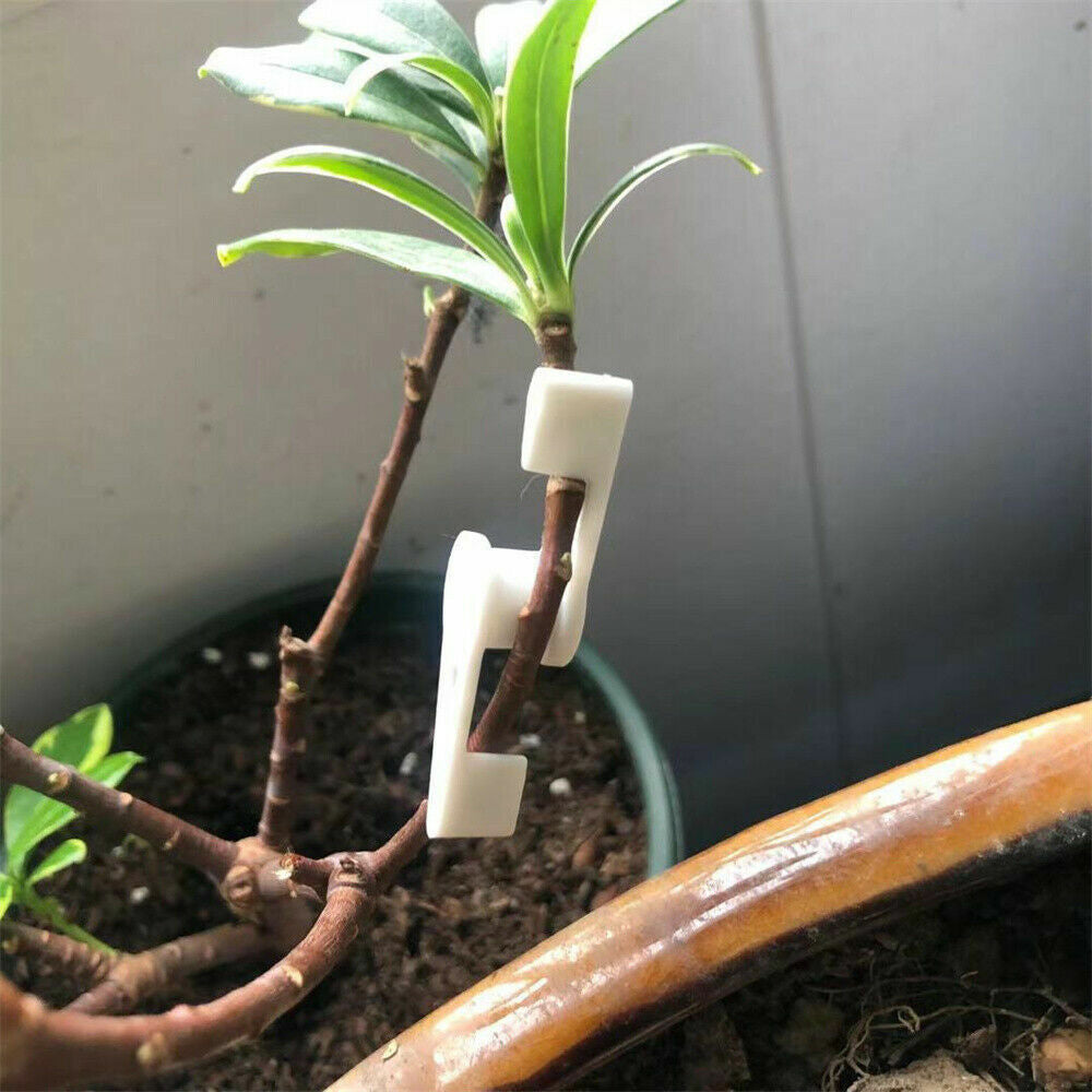 20Pcs Plant Clips for Low Stress Training 360 Degree Adjustable Plant Stem Branches