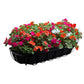 3PCS Fabric Planter Basket Liner for Window Boxes