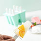 6 Cavity Ice Cream Mould Block Popsicle Molds Ice Lolly Mold With Sticks