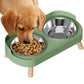 Elevated Double Stainless Steel Pet Food and Water Bowl Set