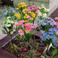 4Pcs Solar Garden Flowers Stake Light