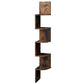 5 Tier Large Zigzag Corner Wall Mounted DVD CD Storage Display Shelf
