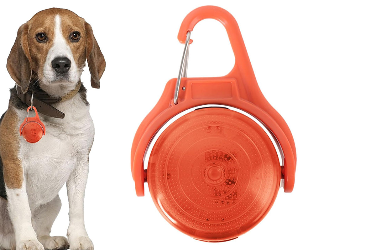 Dog Collar Light Rechargeable LED Water Resistance with 4 Modes for Night Walking