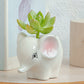 6pcs Cute Animal Shaped Plant Succulent Pots