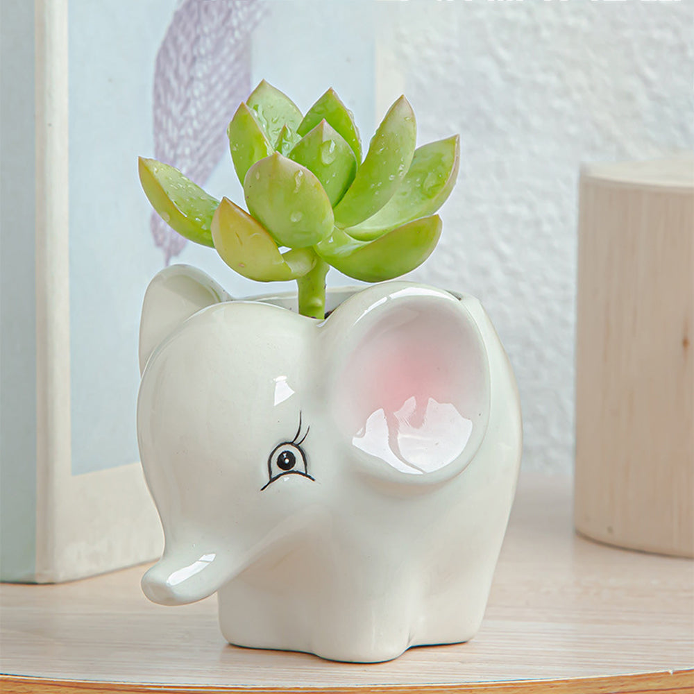 6pcs Cute Animal Shaped Plant Succulent Pots