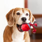 Interactive Dog Toys with Motion Activated Active Rolling Ball Wicked Ball