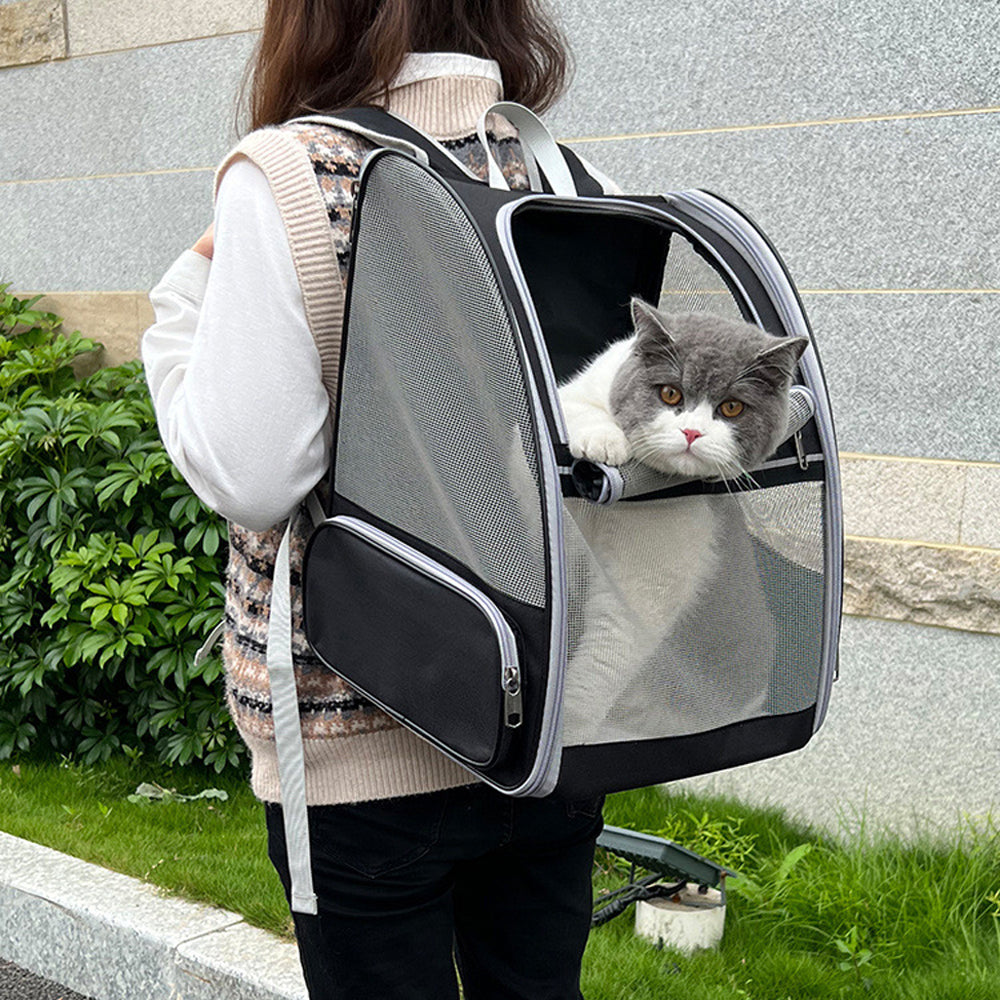 Foldable Travel Outdoor Cat Backpack Carrier