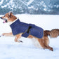 Winter Dog Coat-Waterproof Cold Weather Jacket for Small Large Breeds-Navy