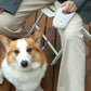 RGB 5M Extendable Retractable LED Training Lead Rope Pet Leash