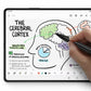 Stylus Pen Compatible with Kindle Scribe Write