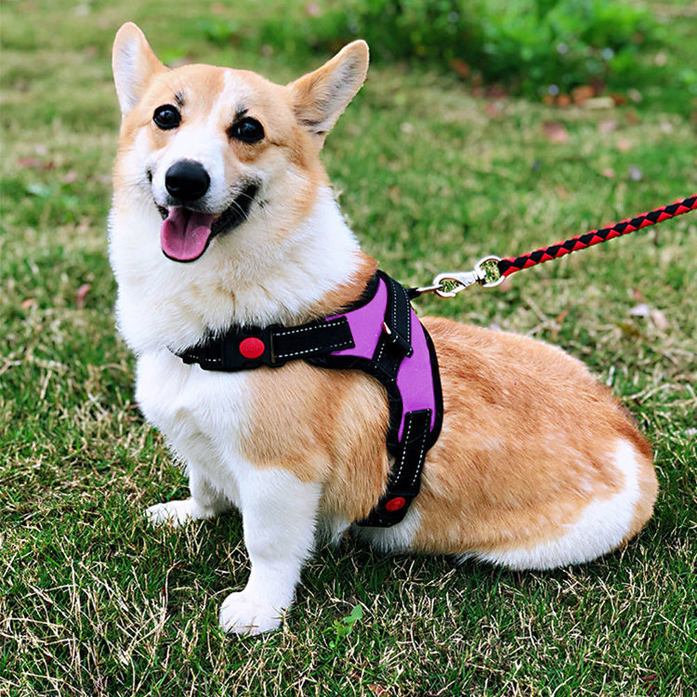 No-Pull Pet Dog Harness with Handle Adjustable Padded Vest