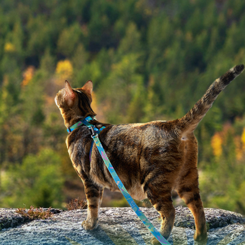 Cat Adjustable Harness and Leash Set