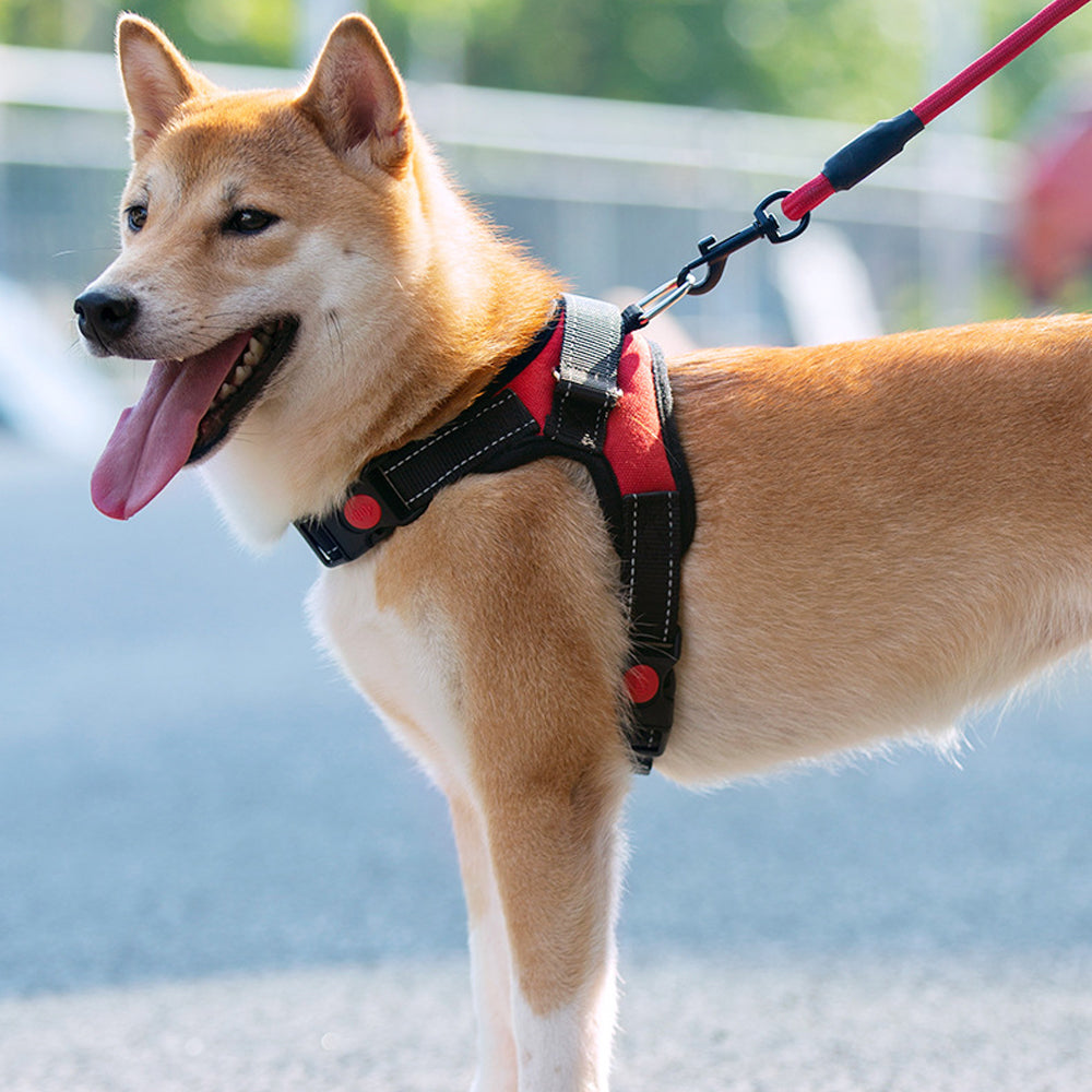 No-Pull Pet Dog Harness with Handle Adjustable Padded Vest