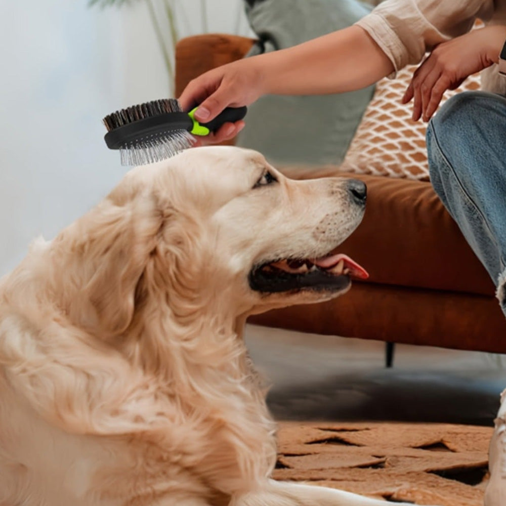2 Pack Pet Grooming Brush Set Deshedding Double Sided Comb Massage Brush for Cats Dogs Horses