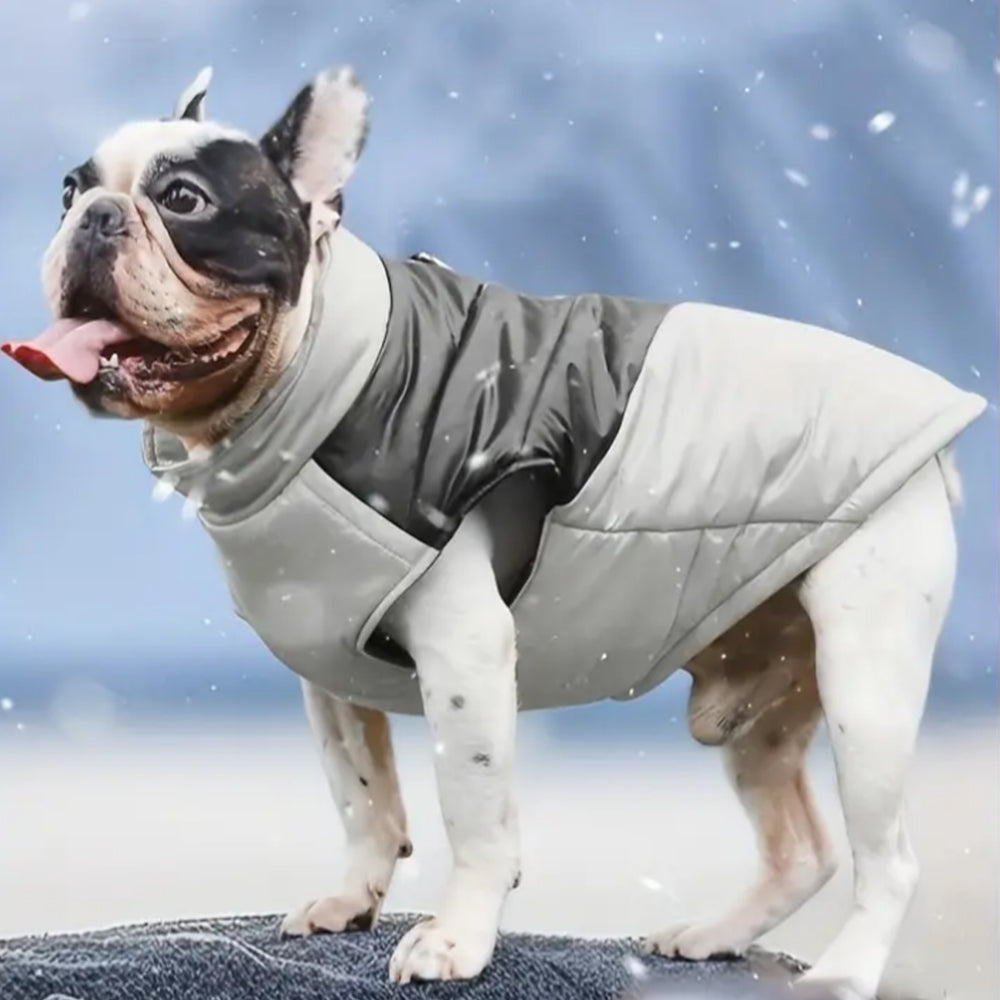 Pet Winter Warm Coat with Reflective Padded