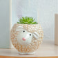 6pcs Cute Animal Shaped Plant Succulent Pots