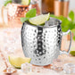 2Pcs Moscow Mule Stainless Steel Mug
