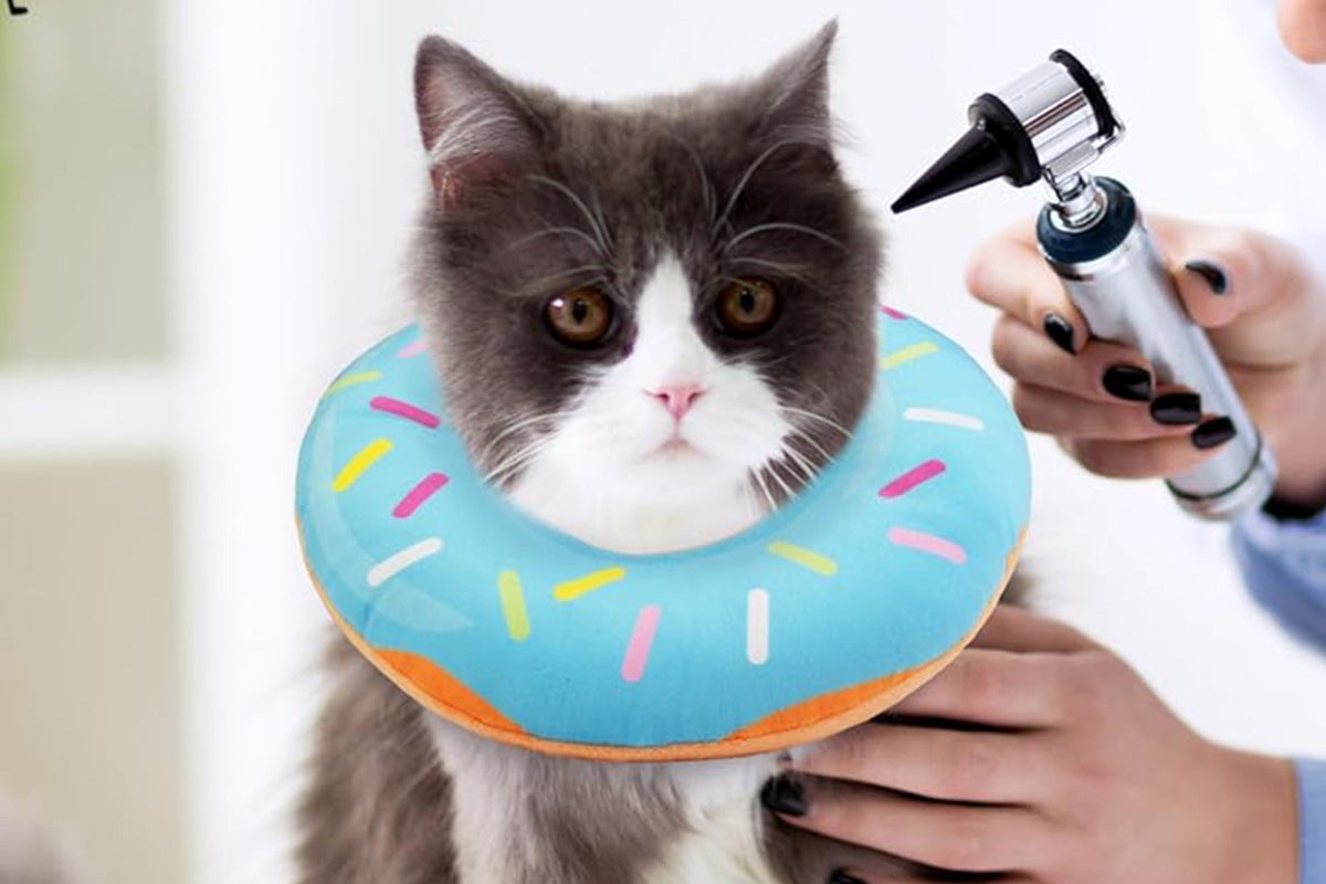 Cat Cone Soft Collar Adjustable Kitten Recovery Cones Cat Donut Collar-Blue