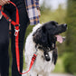 Removable Dog Belt Harness for Car Adjustable High Elastic Bungee