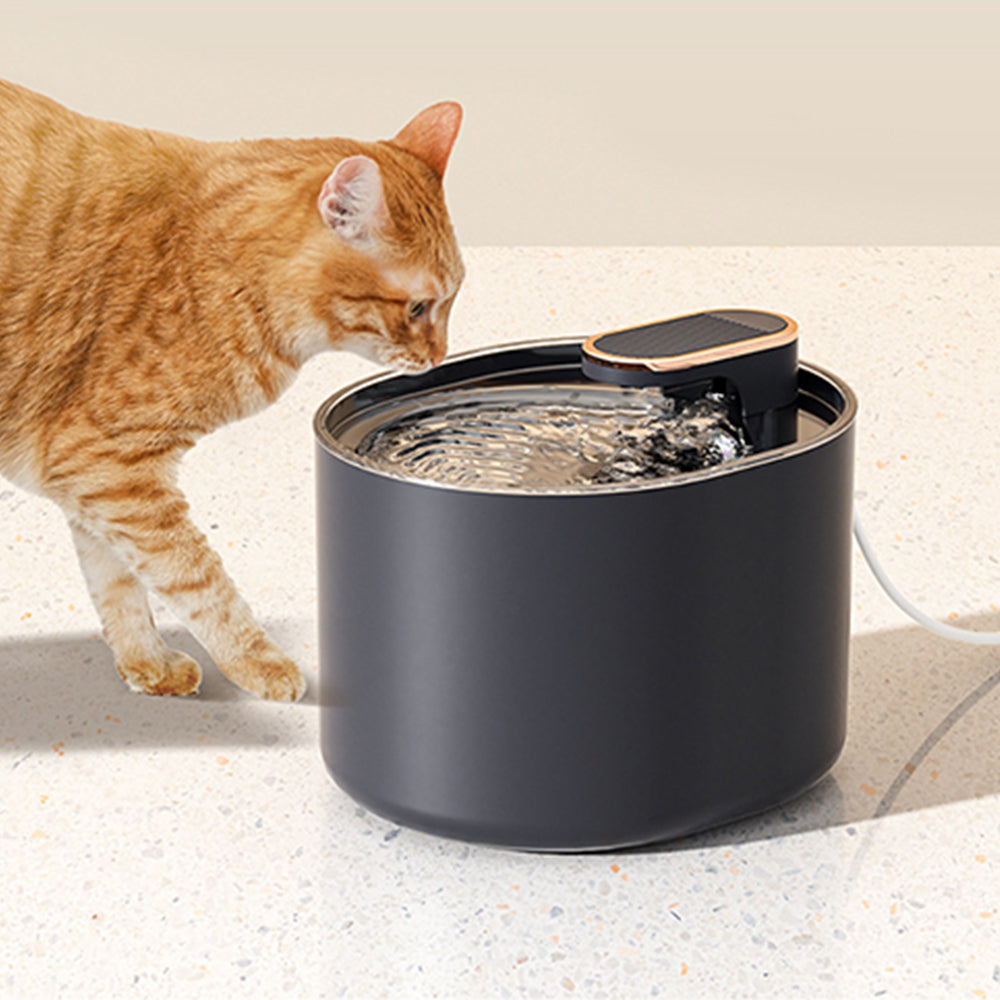USB Plug 3L Automatic Pet Water Drinking Dispenser