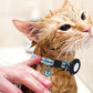 Adjustable Cat Collar Compatible with Apple Airtag
