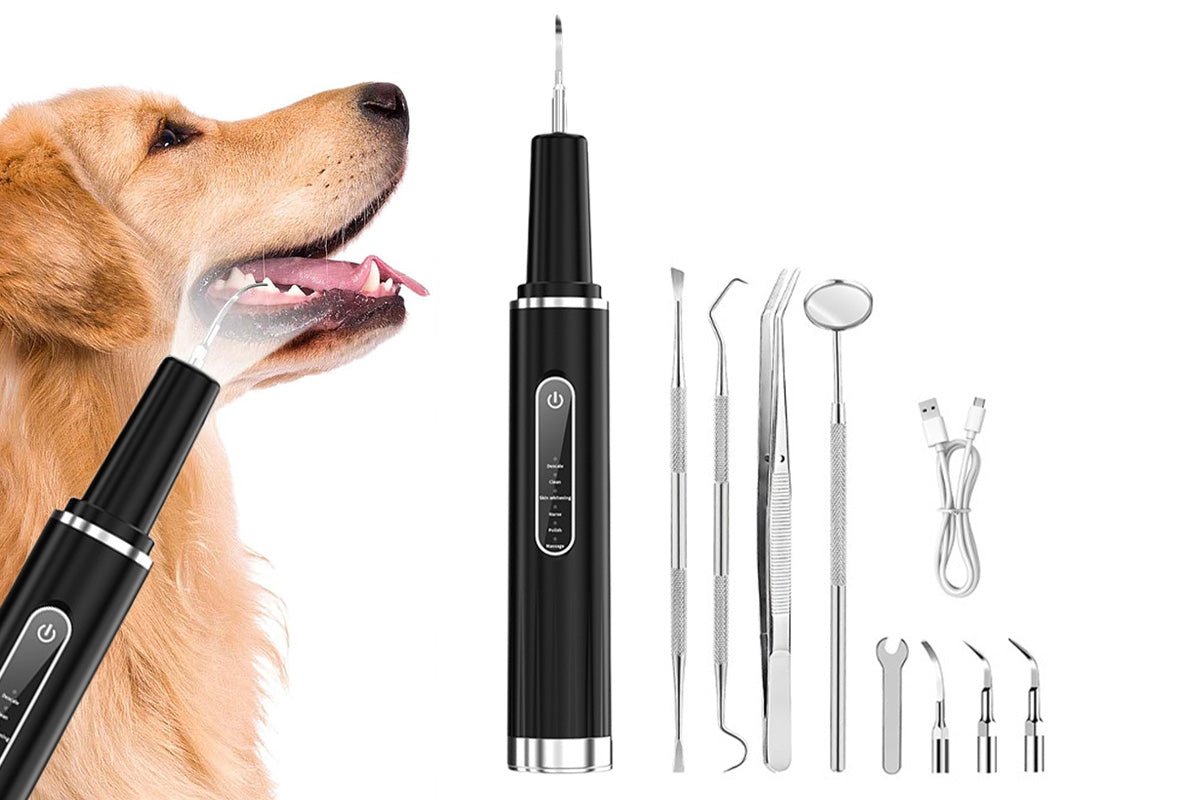 Ultrasonic Pet Plaque Remover for Dogs and Cats Electric Teeth Cleaner