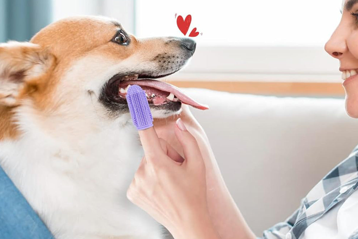 6PCS Dog Toothbrush Finger Toothbrush Dogs Tooth Brushing Kit For Dental Care