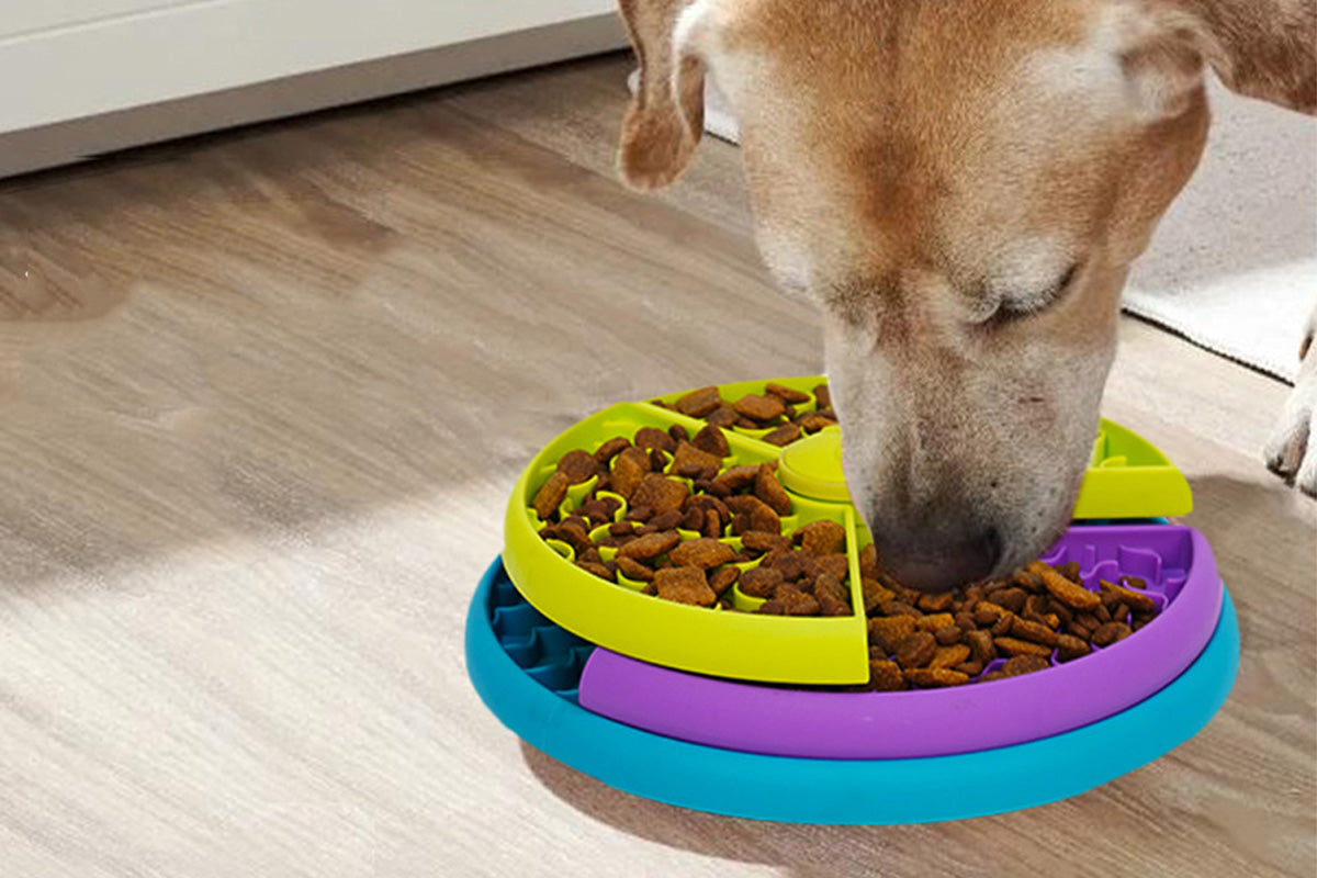 Three-Color Rotating Slow Feeder Bowl Interactive Dog Feeder for Medium and Large Dogs