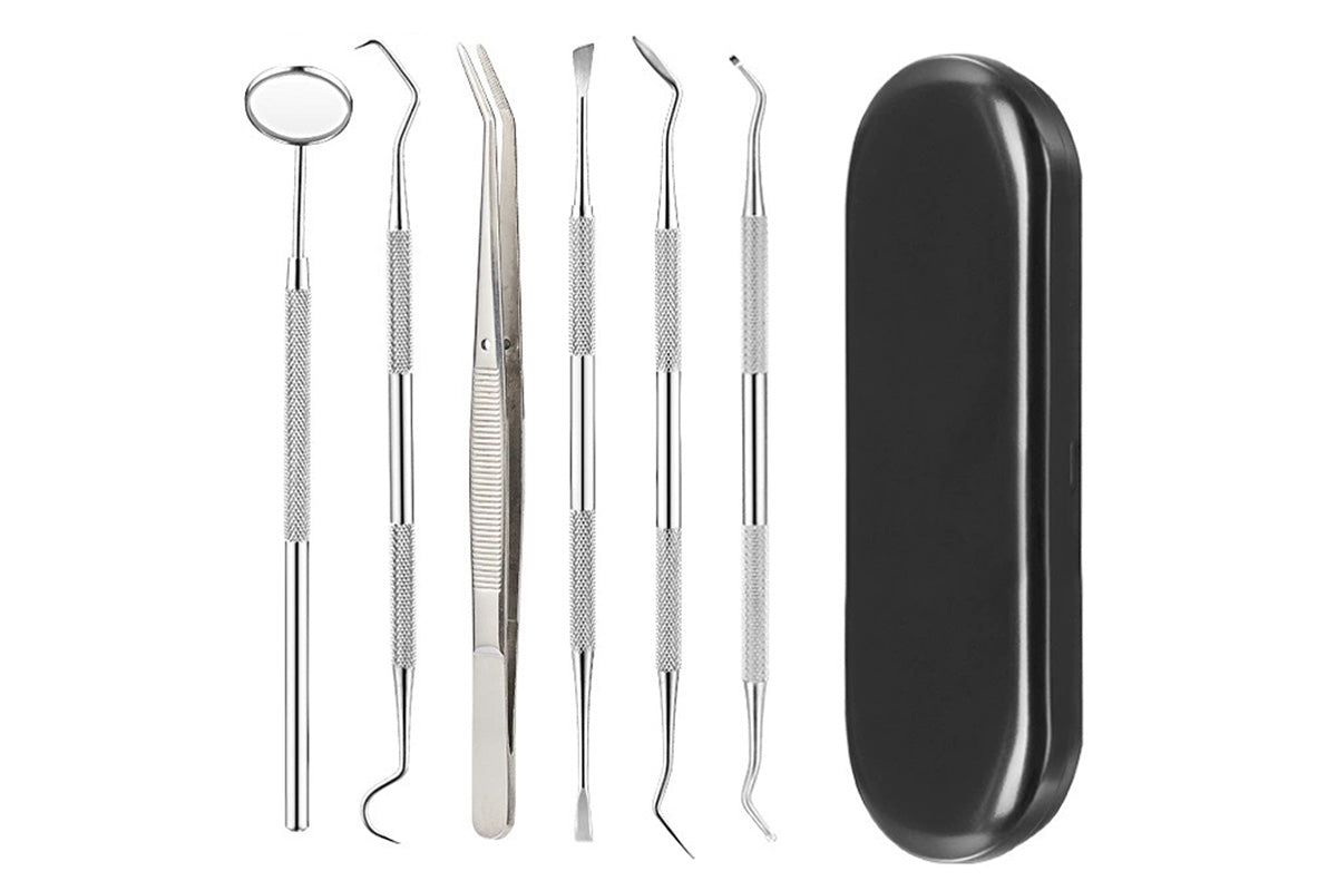 Professional Dental Tool Kit 6 Piece Stainless Steel Oral Care Set