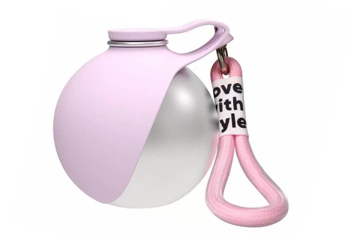 285ML Leak-Proof Stainless Steel Pet Water Bowl Portable Dog Water Bottle with Silicone Cover Pet Travel Water Dispenser