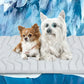 Scratch Resistant Summer Cooling Mat for Pet