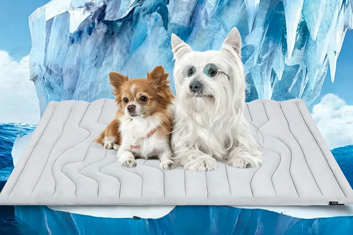 Scratch Resistant Summer Cooling Mat for Pet