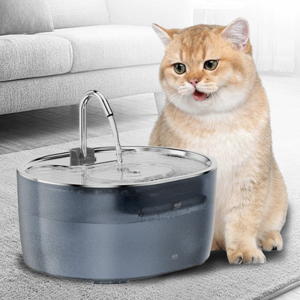 3.2L Cat Water Fountain Dog Bowl Fountains Automatic Pet Dispenser Auto Watering Dish Supplies