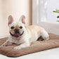 Self-Heating Pet Blanket